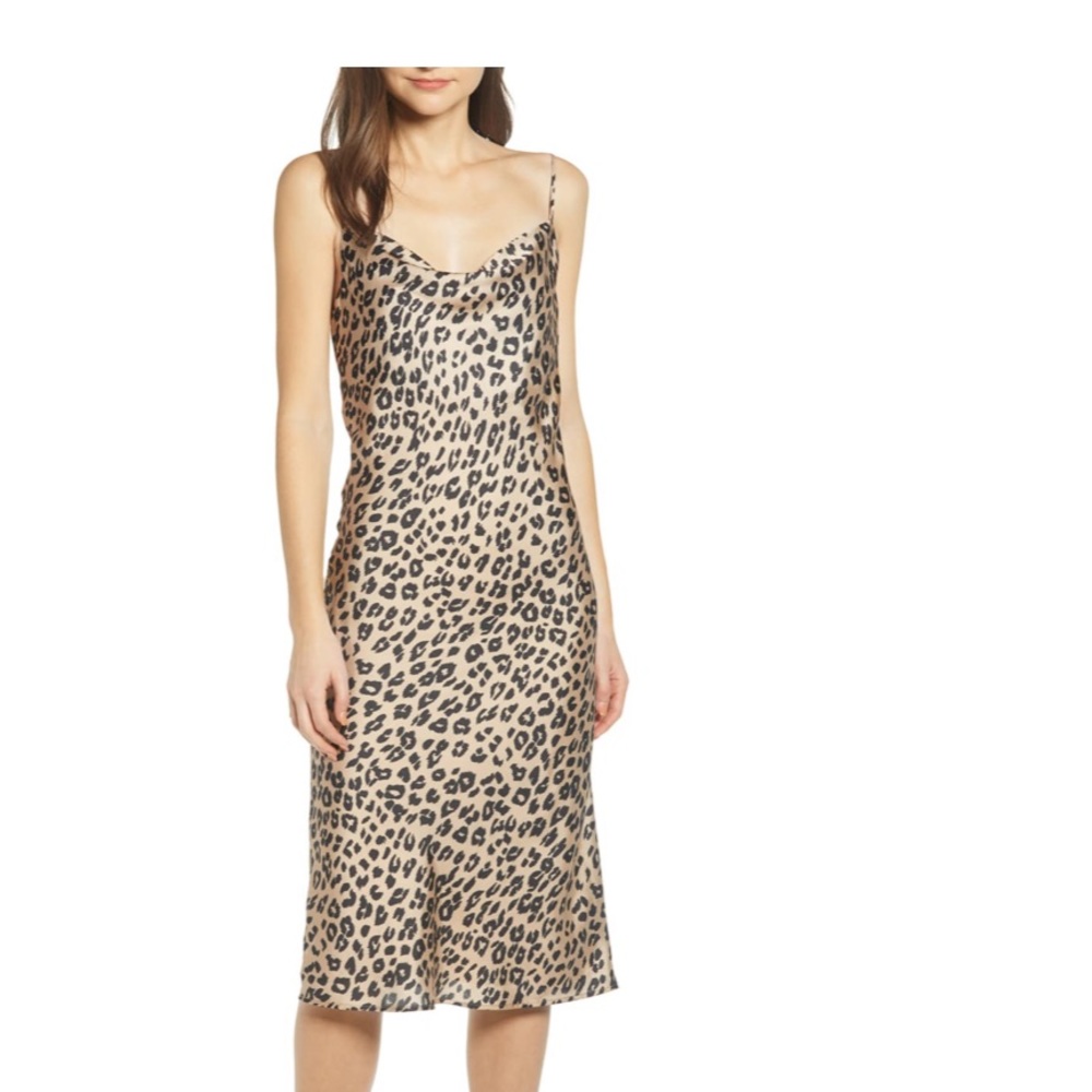 🐆Animal 🐆print  Dress size 4✨